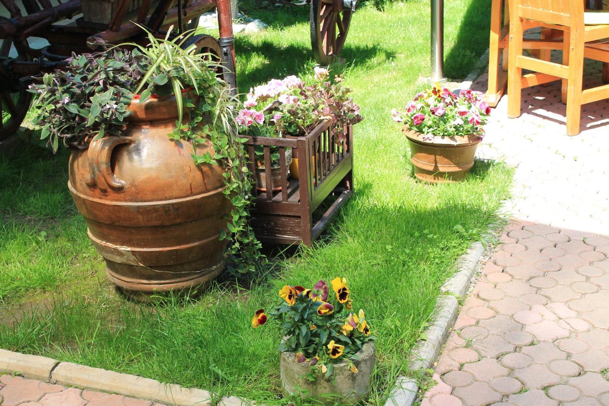 Pension Tip-Top Targu-Mures Bagian luar foto