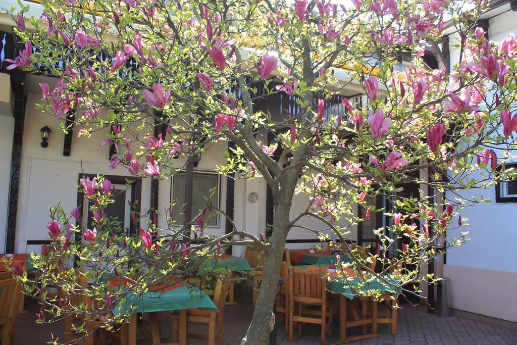 Pension Tip-Top Targu-Mures Bagian luar foto