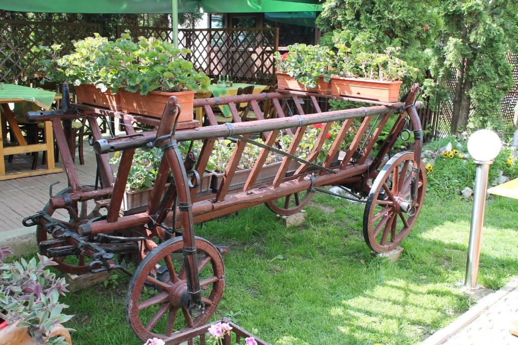 Pension Tip-Top Targu-Mures Bagian luar foto
